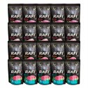 Dolina Noteci Rafi Cat Mix Smaków Saszetka 20x100g