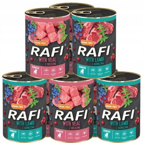 RAFI JUNIOR DOLINA NOTECI KARMA MIX SMAKÓW 24X400G