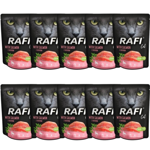 Dolina Noteci Rafi Cat Łosoś Saszetka 10x300g