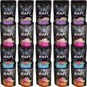 Dolina Noteci Rafi Cat Mix 4 Smaków Saszetka 20x100g