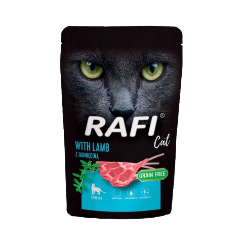 Dolina Noteci Rafi Cat Mix Smaków Saszetka 40x100g