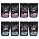 Dolina Noteci Rafi Cat Mix Smaków Saszetka 40x100g