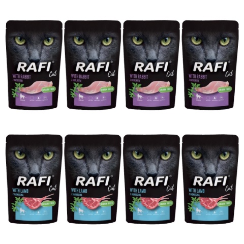 Dolina Noteci Rafi Cat Mix Smaków Saszetka 40x100g