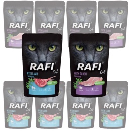 Dolina Noteci Rafi Cat Mix Smaków Saszetka 40x100g